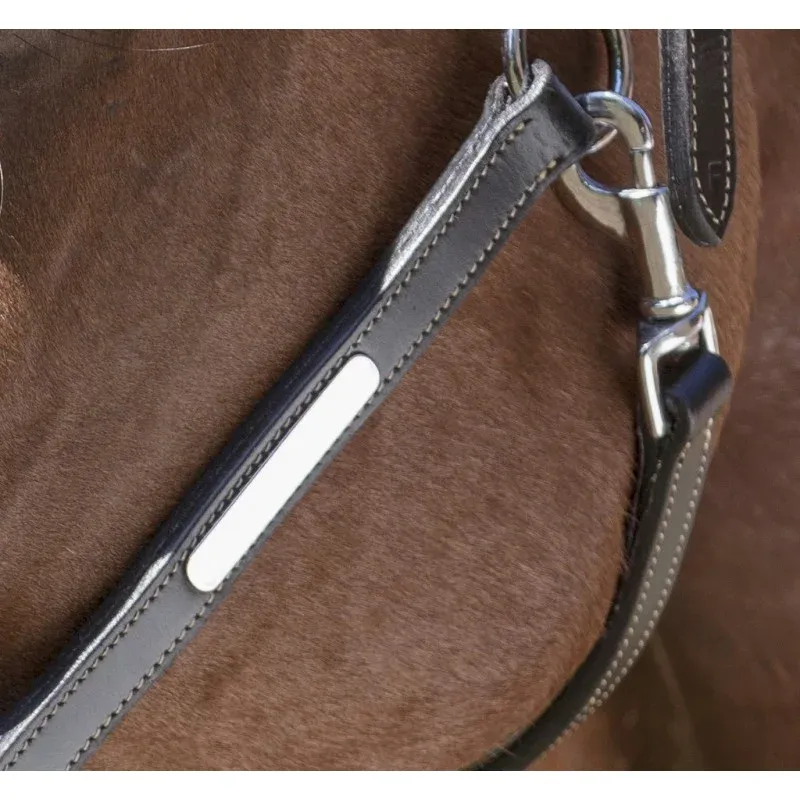 NORTON – LICOL GROOMING – Image 4